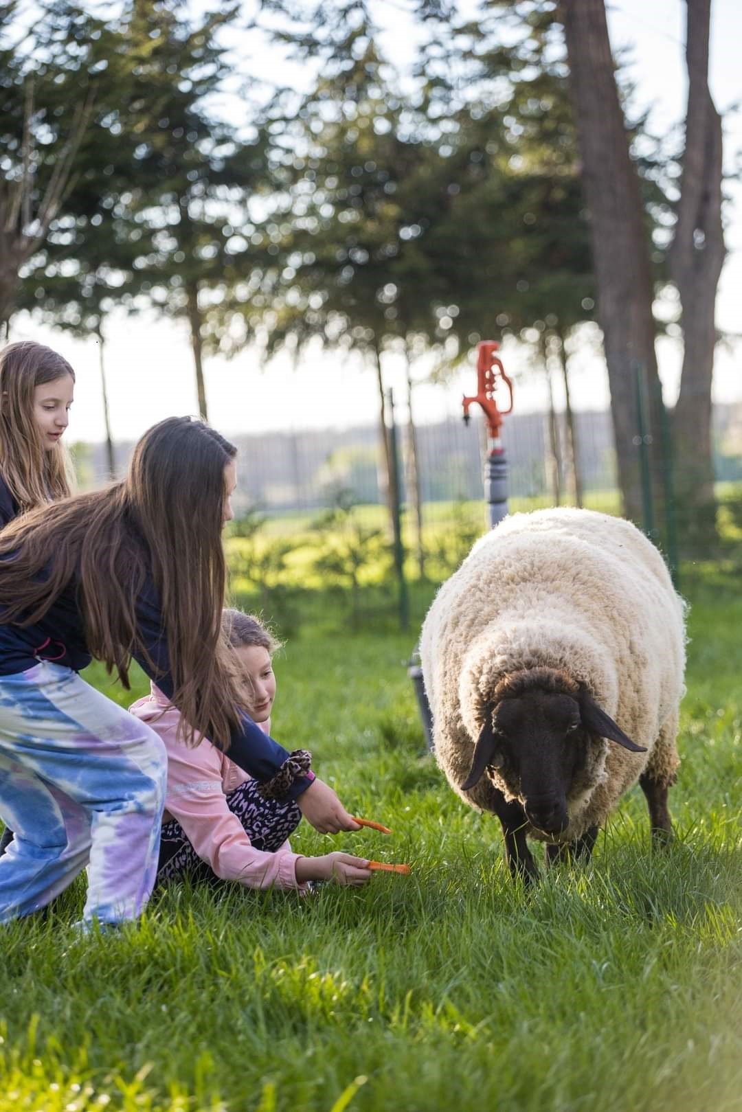Kis Kukta és Kis Gazda tábor