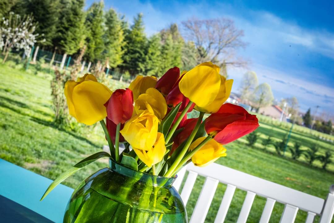 Kis Kukta és Kis Gazda tábor