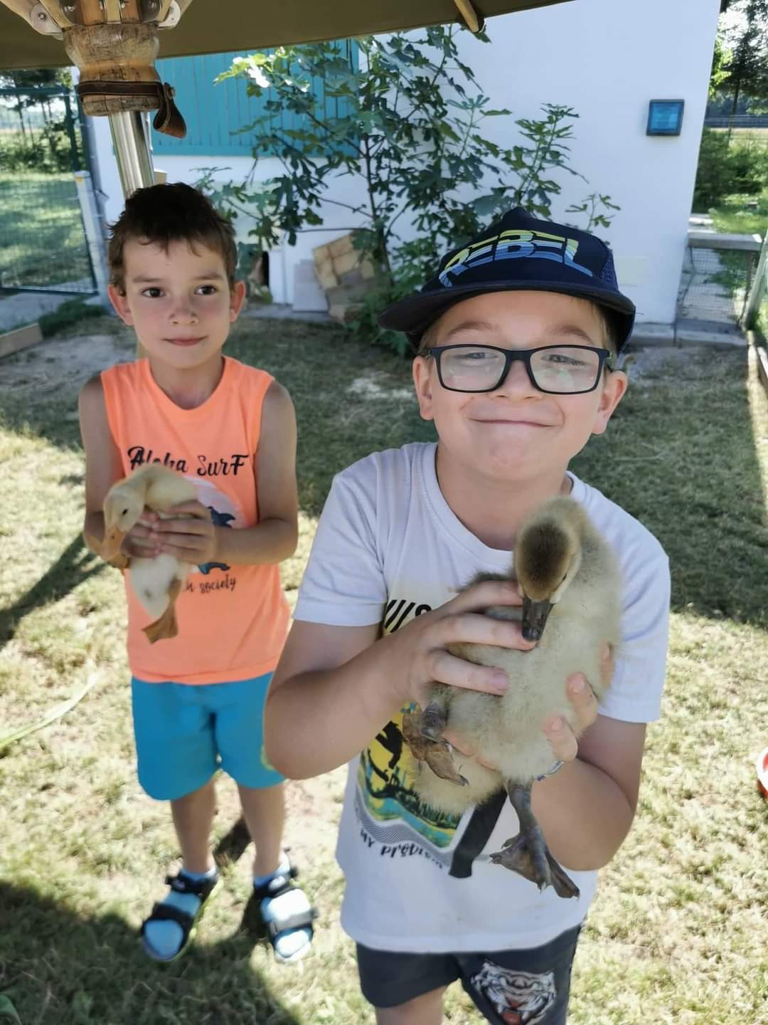 Kis Kukta és Kis Gazda tábor