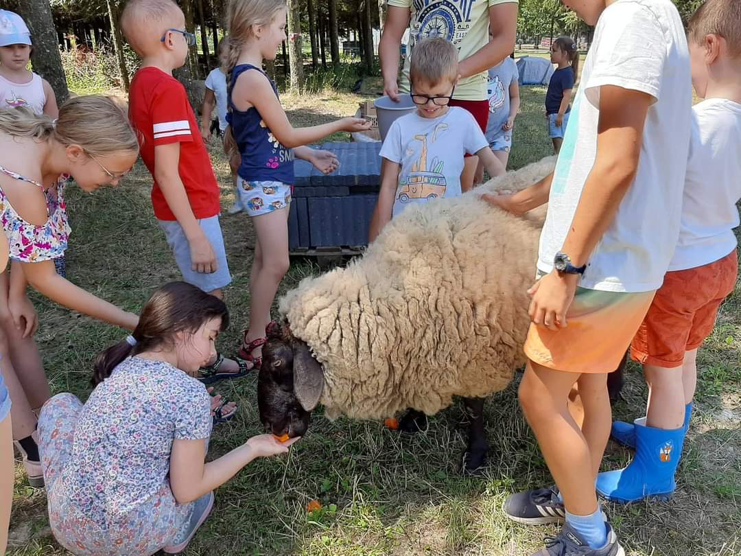 Kis Kukta és Kis Gazda tábor