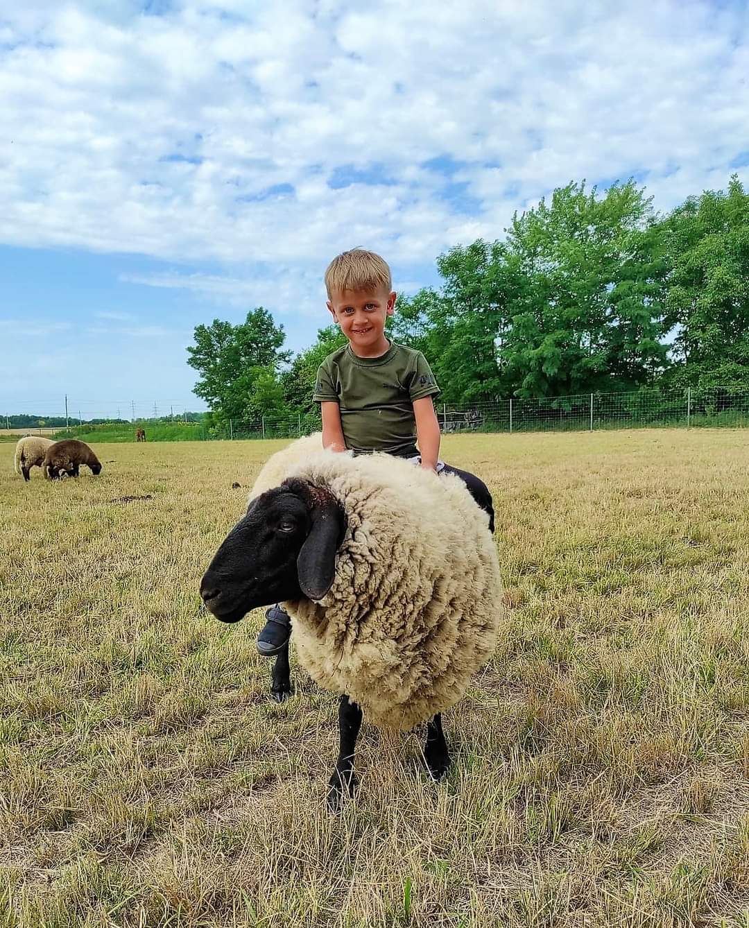 Kis Kukta és Kis Gazda tábor