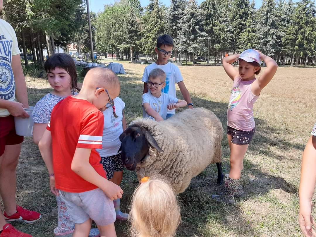 Kis Kukta és Kis Gazda tábor