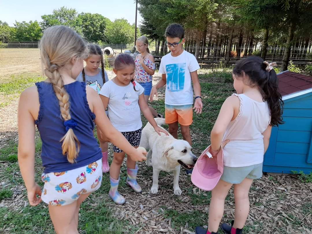 Kis Kukta és Kis Gazda tábor