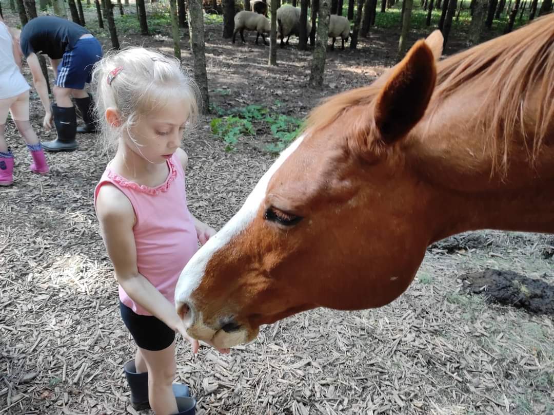 Kis Kukta és Kis Gazda tábor