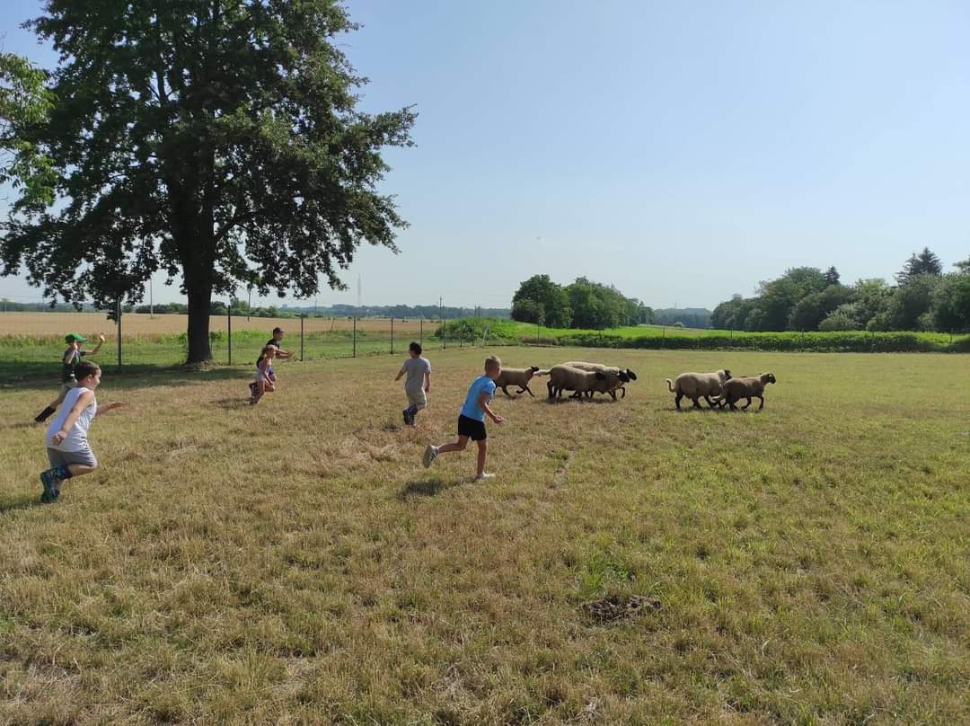 Kis Kukta és Kis Gazda tábor