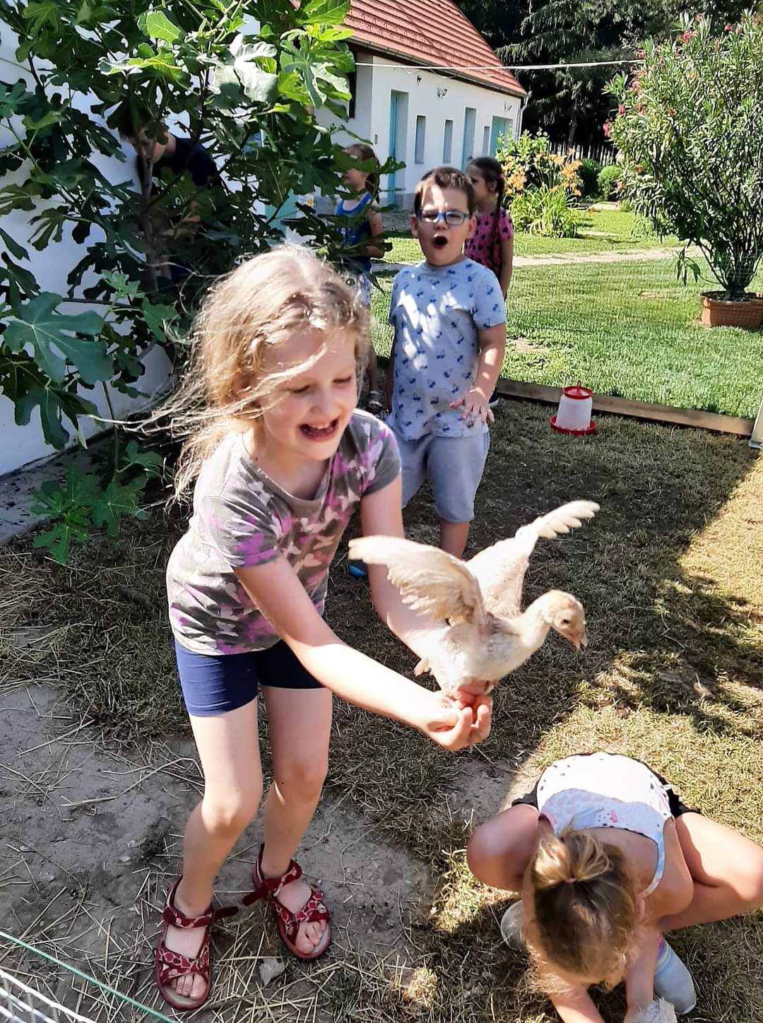 Kis Kukta és Kis Gazda tábor