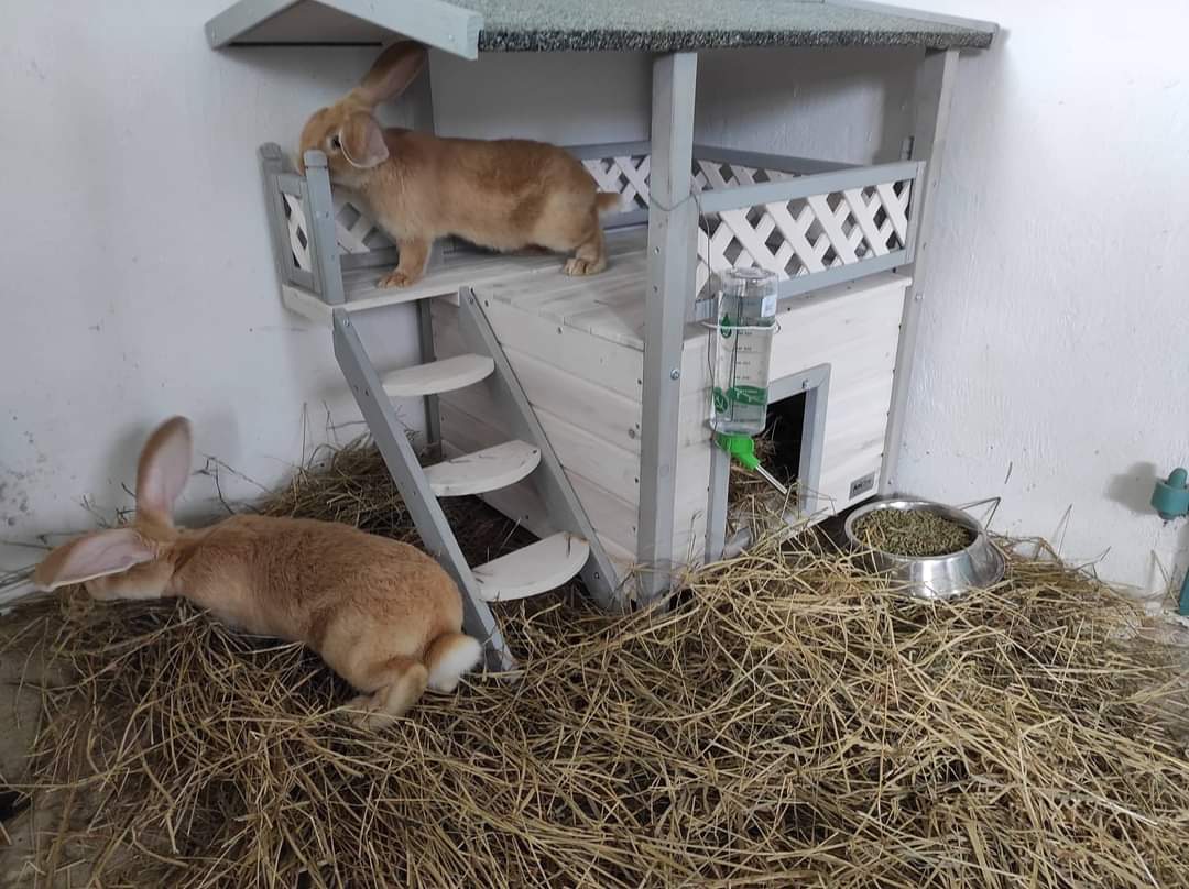 Kis Kukta és Kis Gazda tábor